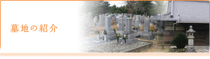 墓地の紹介